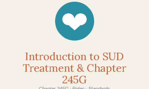 245G / SUD Programs